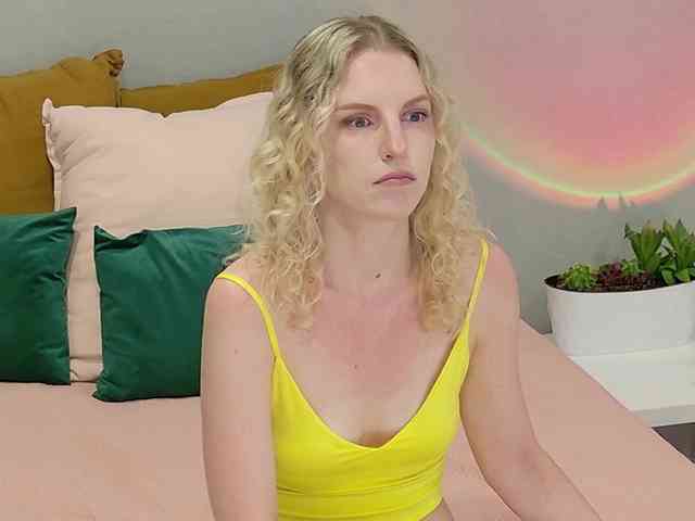Visbee webcam