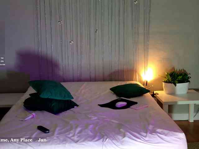 Visbee webcam