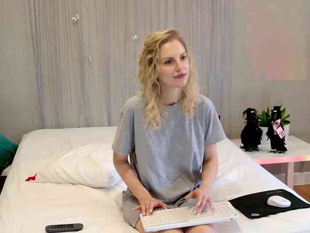 Visbee webcam