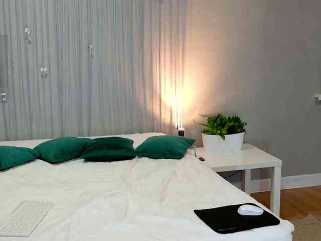 Visbee webcam