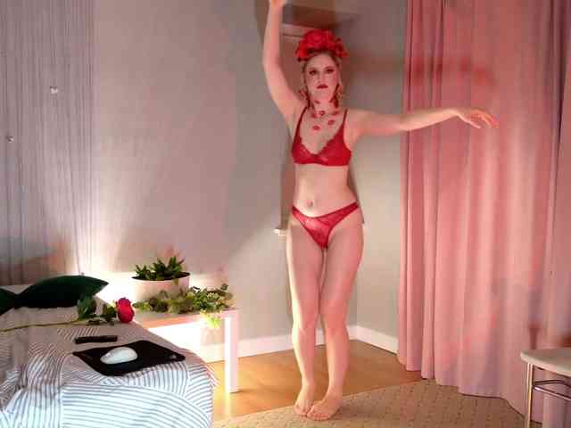 Visbee webcam