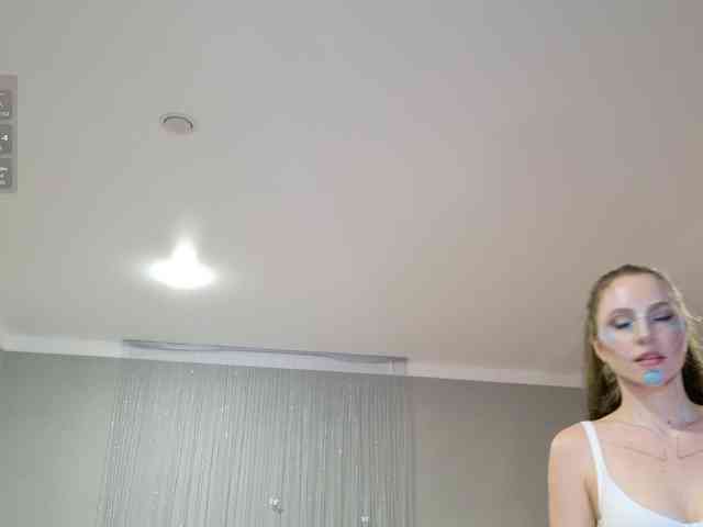 Visbee webcam