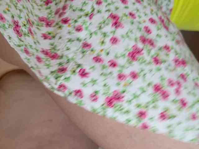 Visbee webcam