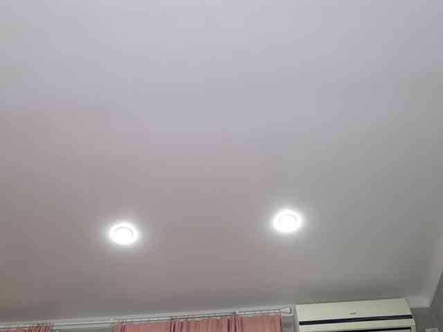 Visbee webcam