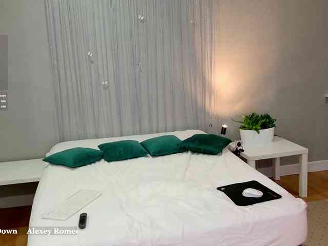 Visbee webcam