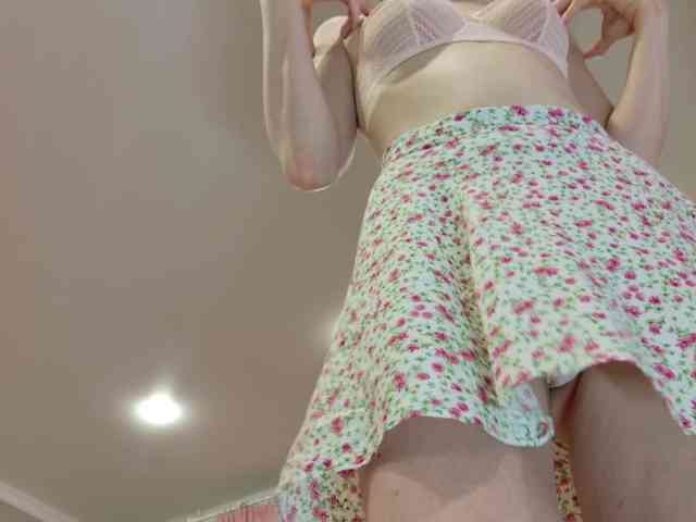 Visbee webcam