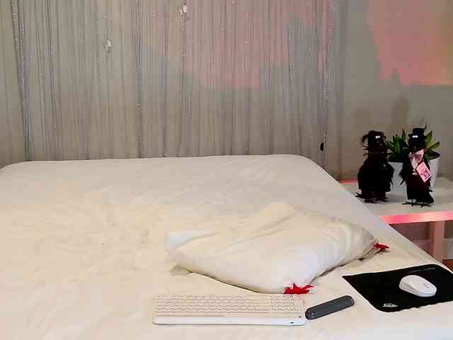 Visbee webcam
