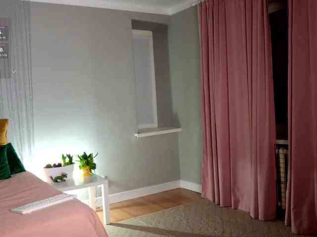 Visbee webcam