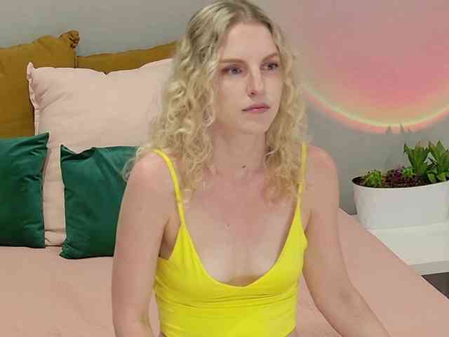 Visbee webcam