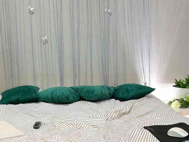 Visbee webcam