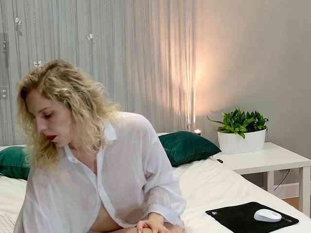 Visbee webcam