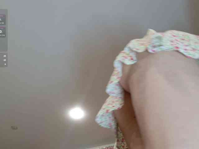 Visbee webcam