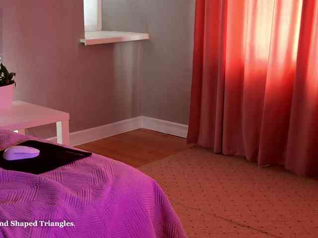 Visbee webcam