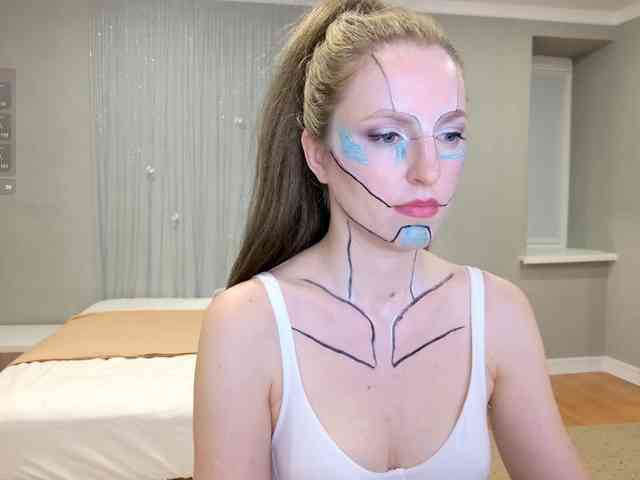 Visbee webcam