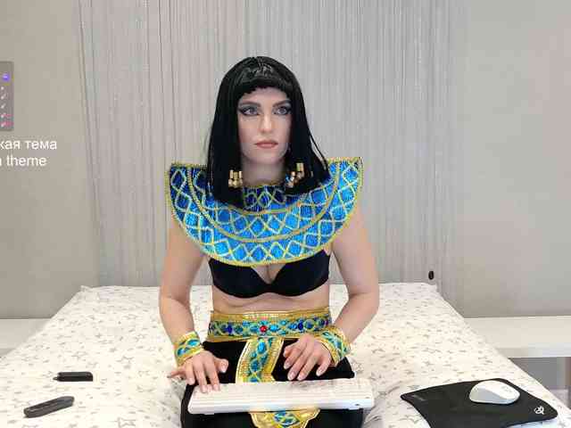 Visbee webcam
