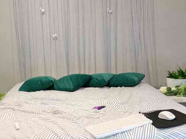 Visbee webcam