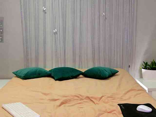 Visbee webcam