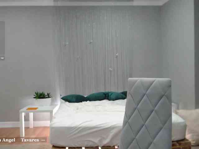 Visbee webcam