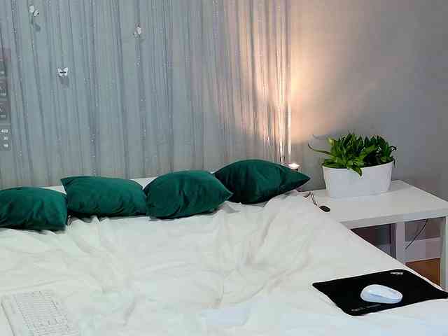 Visbee webcam