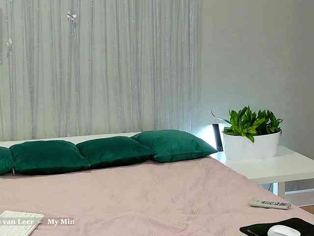 Visbee webcam