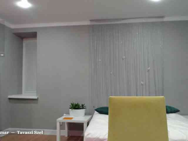 Visbee webcam