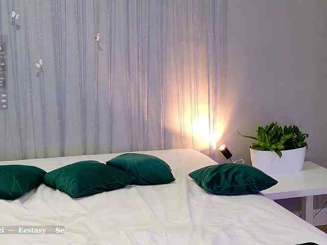 Visbee webcam