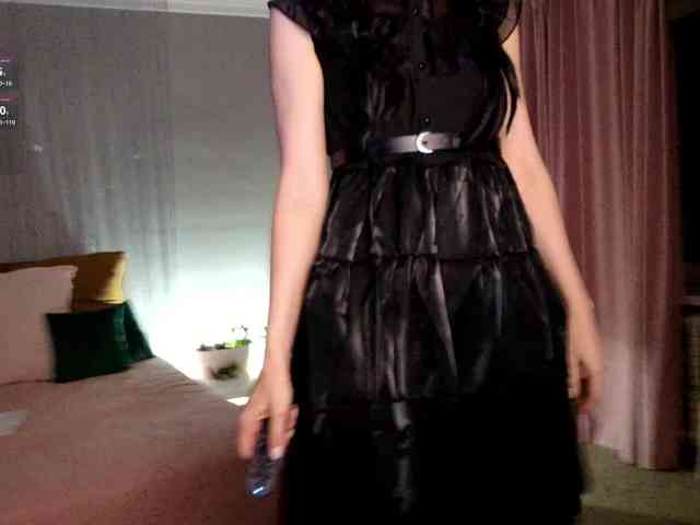 Visbee webcam
