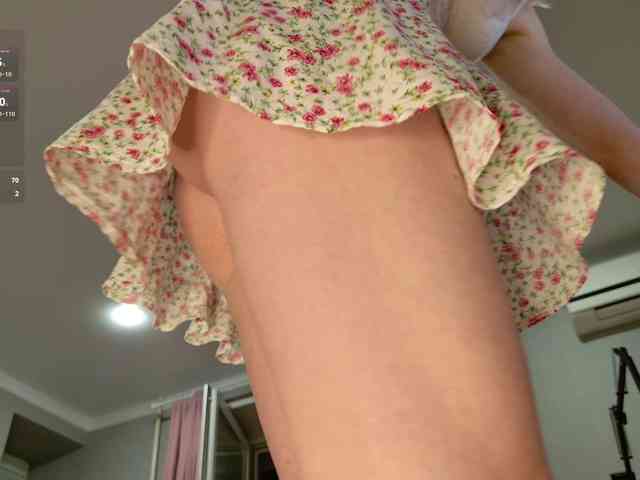Visbee webcam