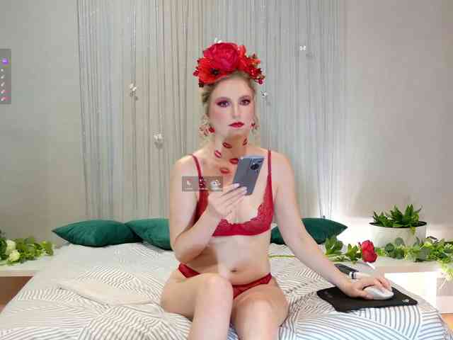 Visbee webcam