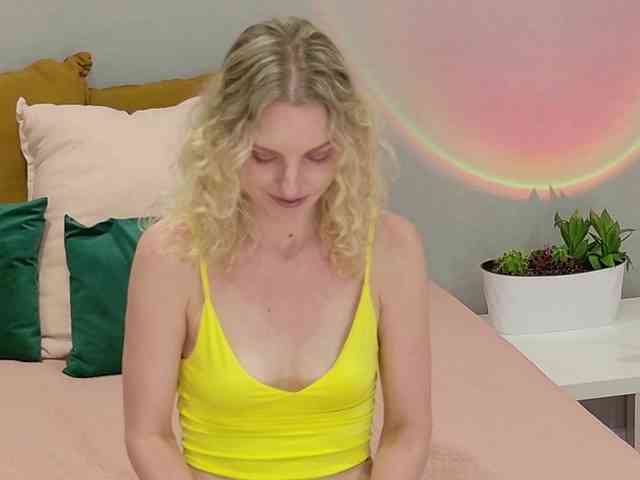 Visbee webcam