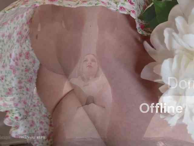 Visbee webcam