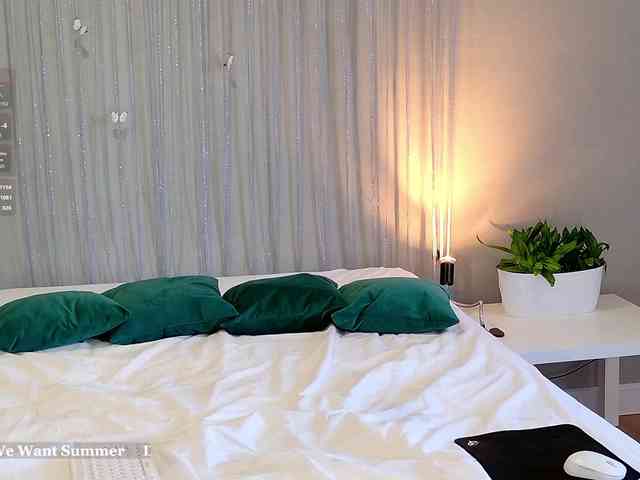Visbee webcam