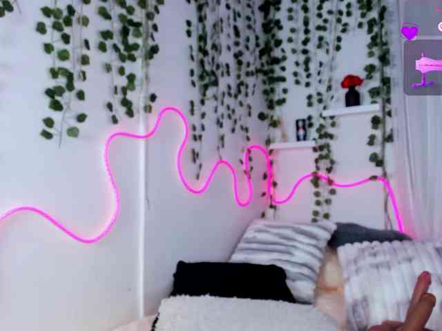 Samii-Evans webcam
