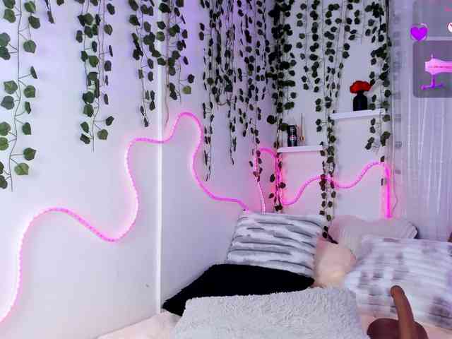 Samii-Evans webcam