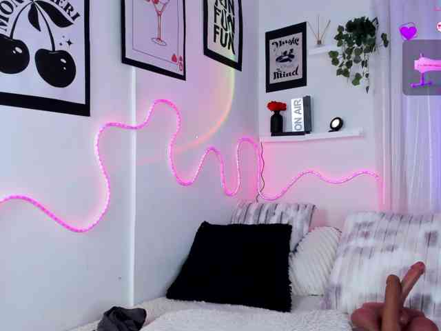 Samii-Evans webcam