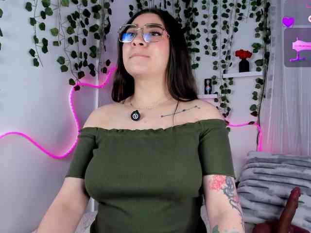 Samii-Evans webcam