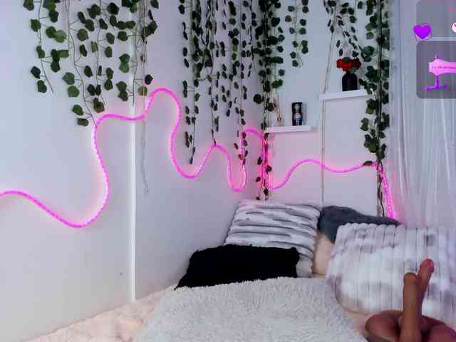 Samii-Evans webcam