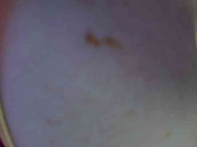 Leysun7 webcam