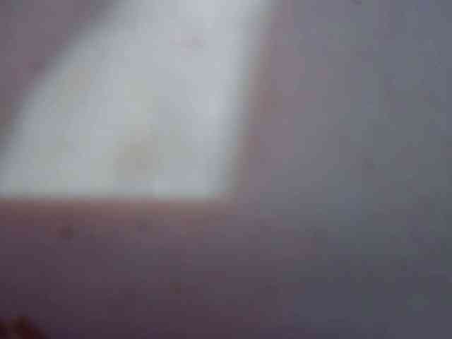 Leysun7 webcam