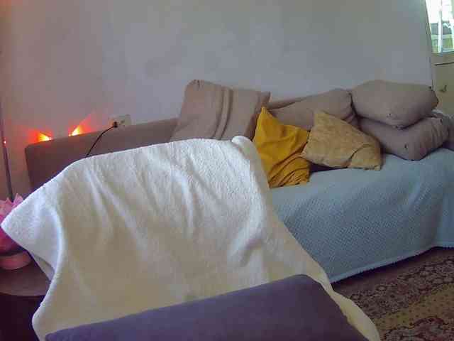 Leysun7 webcam