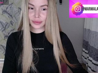 Marmalade_Fox