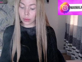 Marmalade_Fox