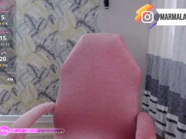 Marmalade_Fox