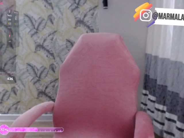 Marmalade_Fox