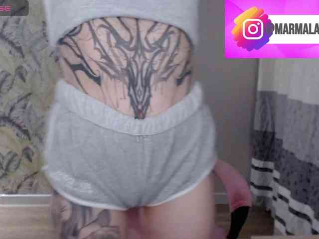 Marmalade_Fox