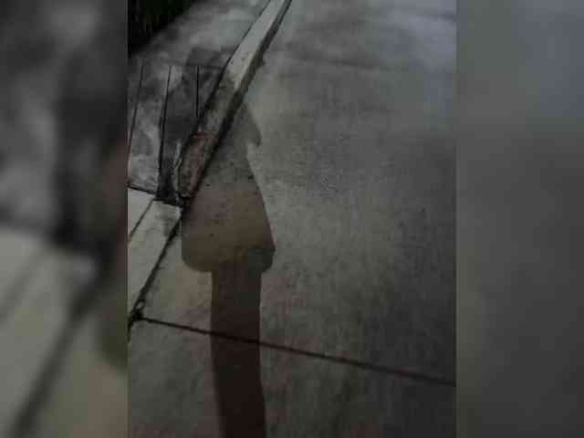 KROSHKA_N webcam