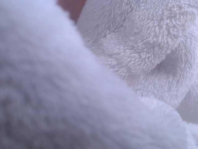 -MARIDRAGON-