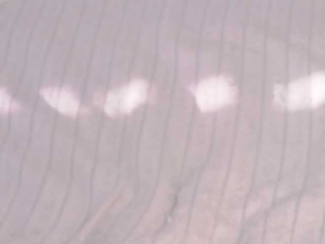 -MARIDRAGON- live cam on BongaCams