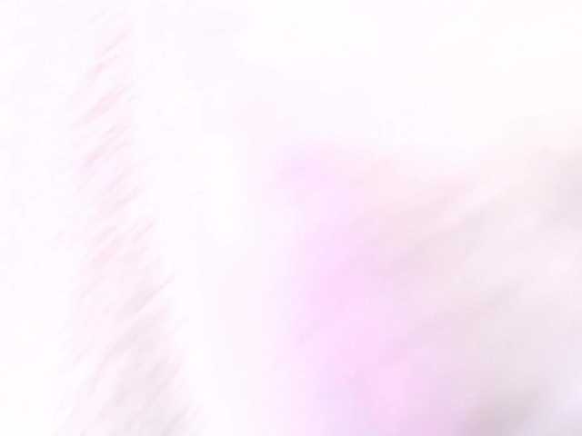 -MARIDRAGON-