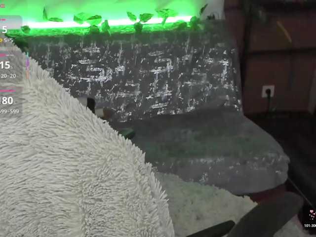 VAGNERMUR live cam on BongaCams